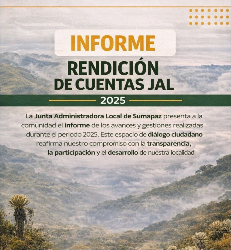 Informe Anual de Rendición de Cuentas JAL 2024-2025