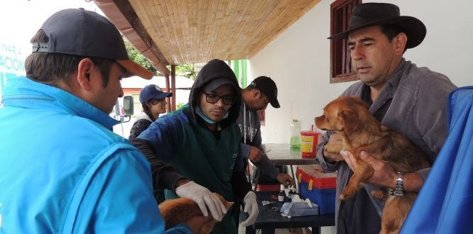 Jornada de Esterilización de perros y gatos en Cuenca del Río Blanco