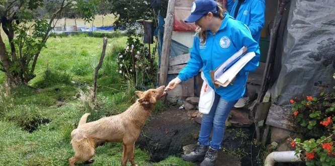 Vacunación de mascotas en las veredas Tunal Bajo y Concepción