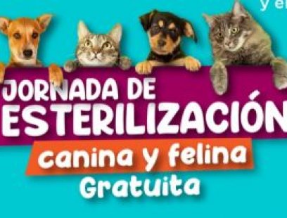 Jornada de esterilización de mascotas